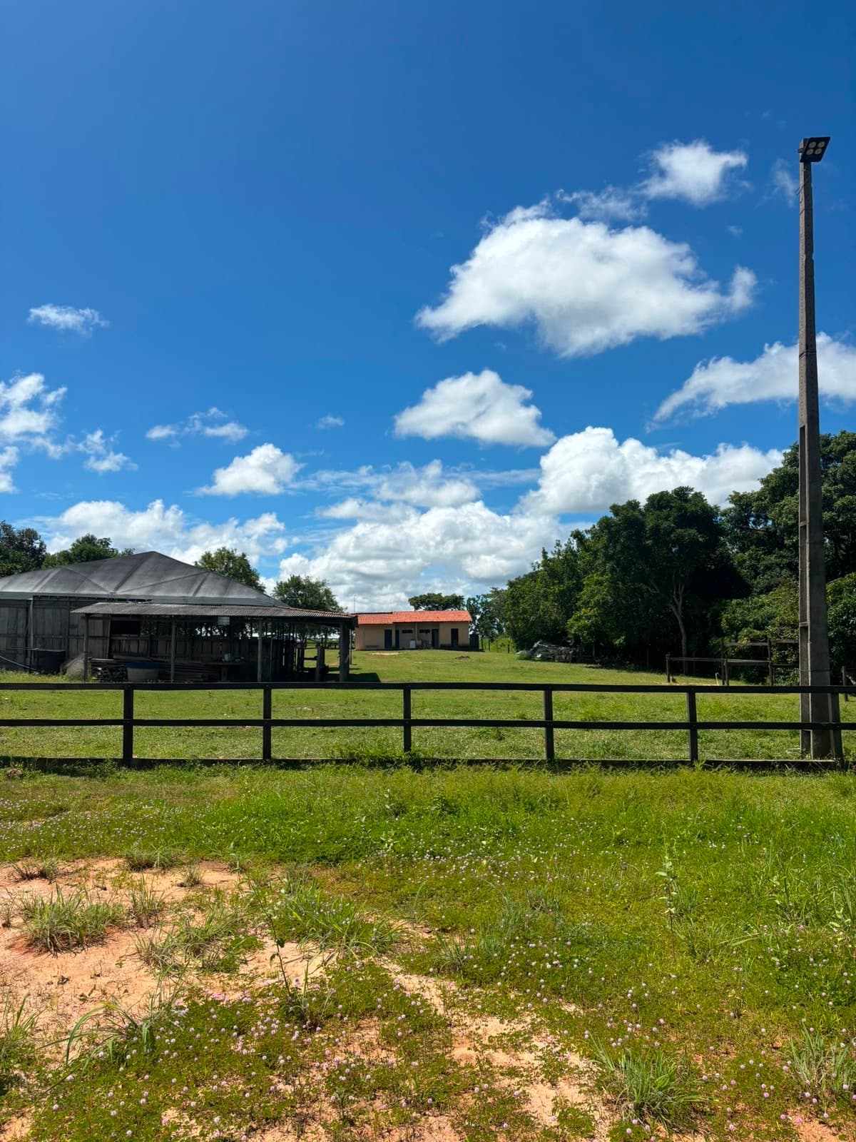 Rancho com estrutura equestre à venda na TO-010, km 17 – Palmas/TO