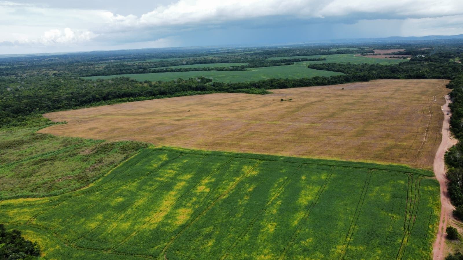 Fazenda com Aptidão Agrícola à Venda no Vale do Araguaia – TO | 234 Alqueires