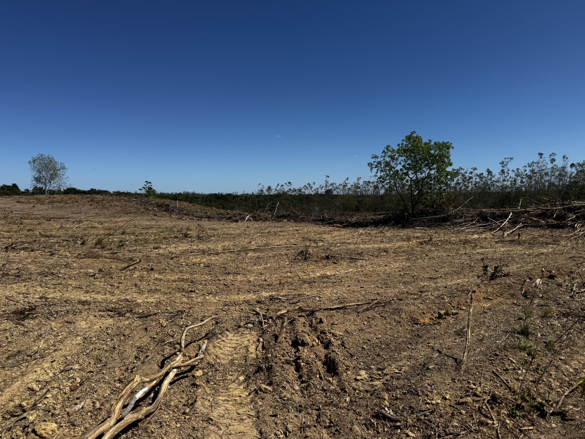 Fazenda à Venda no Vale do Araguaia – Dois Irmãos/TO | 205 Alqueires | Dupla Aptidão