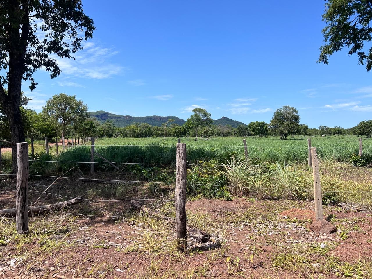 Fazenda à Venda Próxima a Porto Nacional – TO