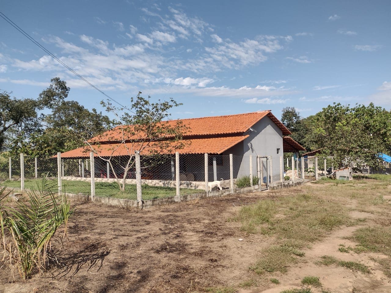 Chácara com riacho e casa nova à venda em Porto Nacional – TO