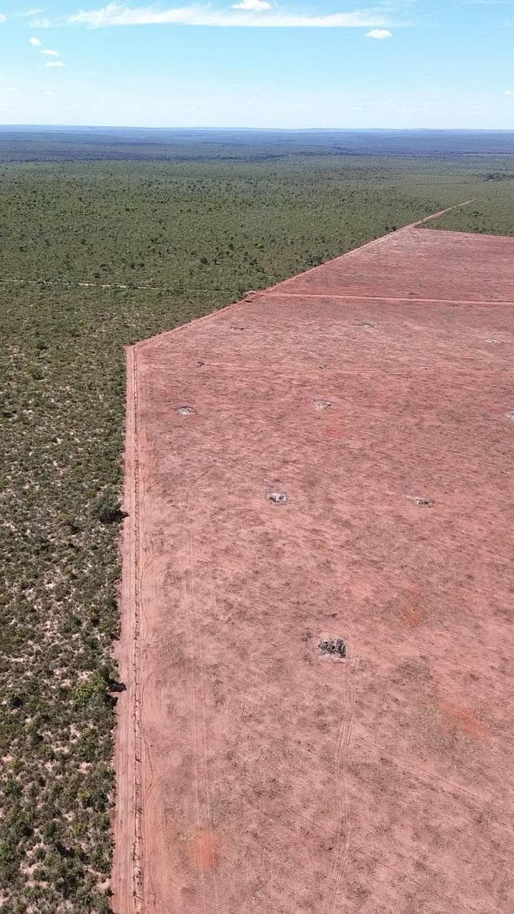 Fazenda com Potencial para Agricultura à Venda em Ponte Alta – TO | 2.420 Hectares