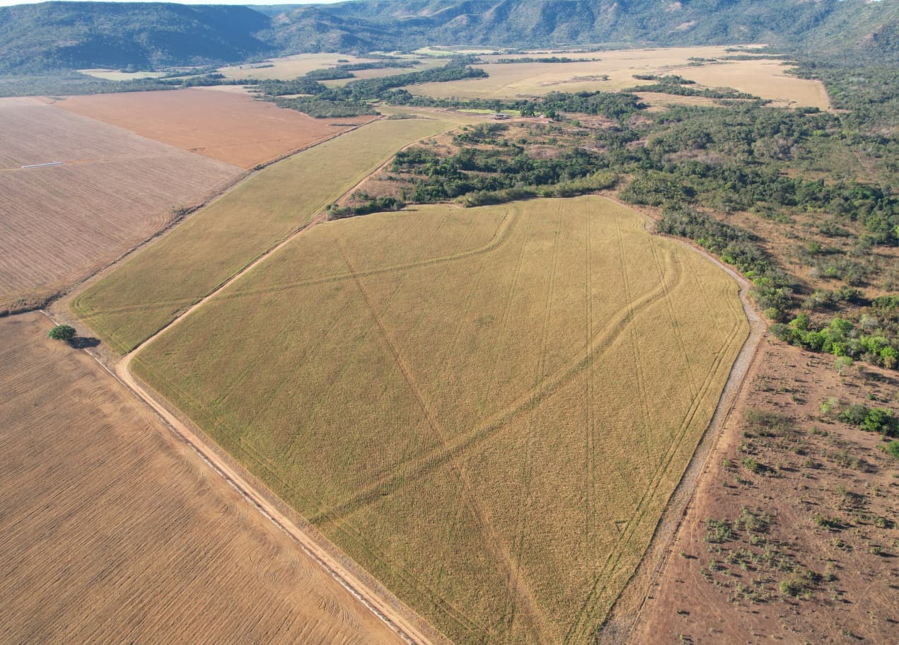 Fazenda com Dupla Aptidão à Venda em Brejinho de Nazaré – TO | 1.519 Hectares na Região da Prosperidade
