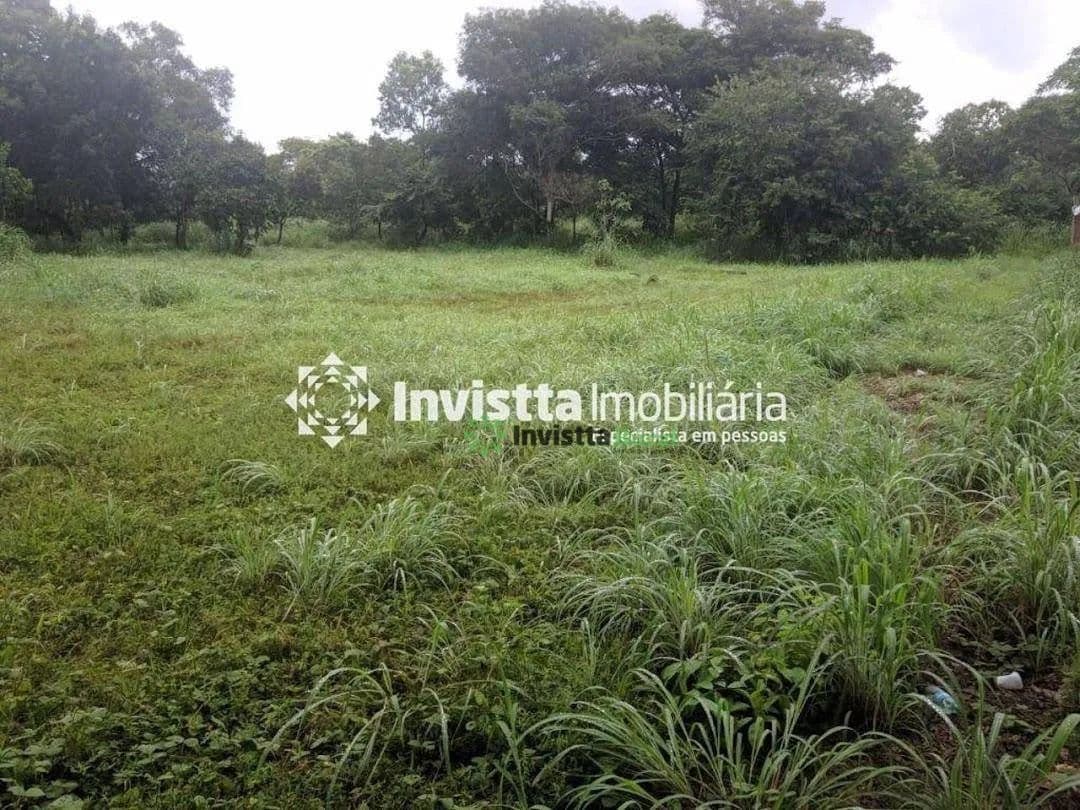 Imagem 5