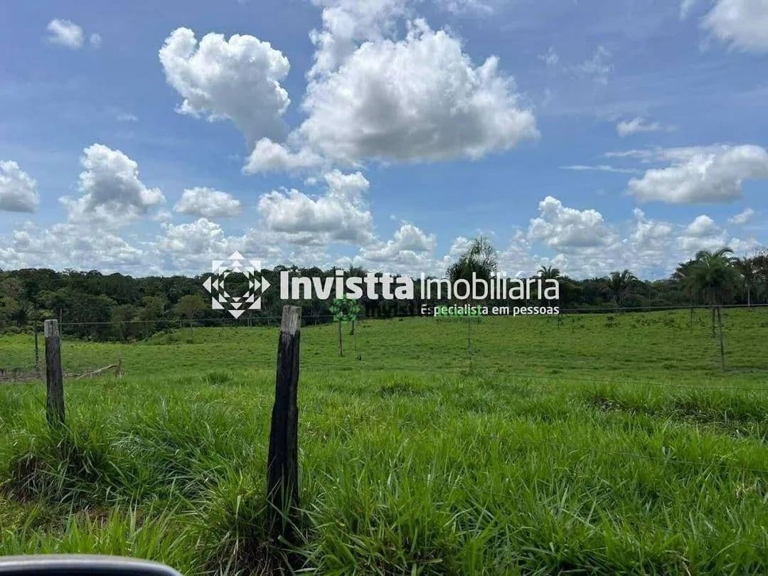 Imagem 5