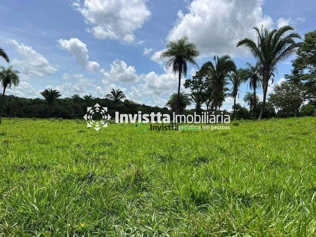 Fazenda de 39 alqueires com terra de cultura e excelente logística em Miranorte/TO
