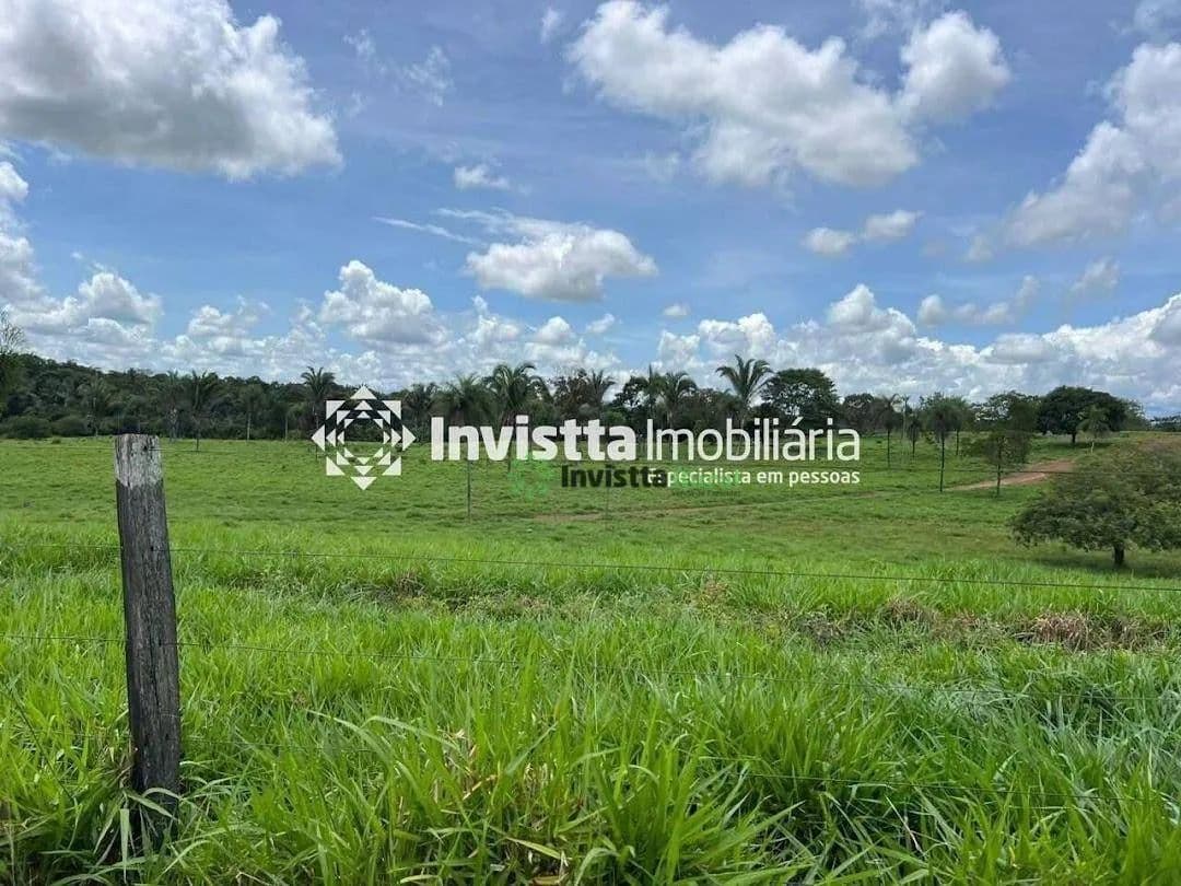 Imagem 6