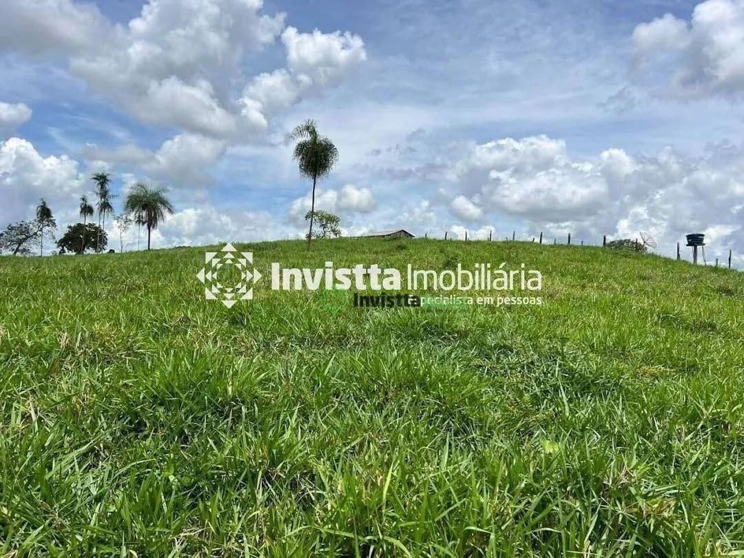 Imagem 4