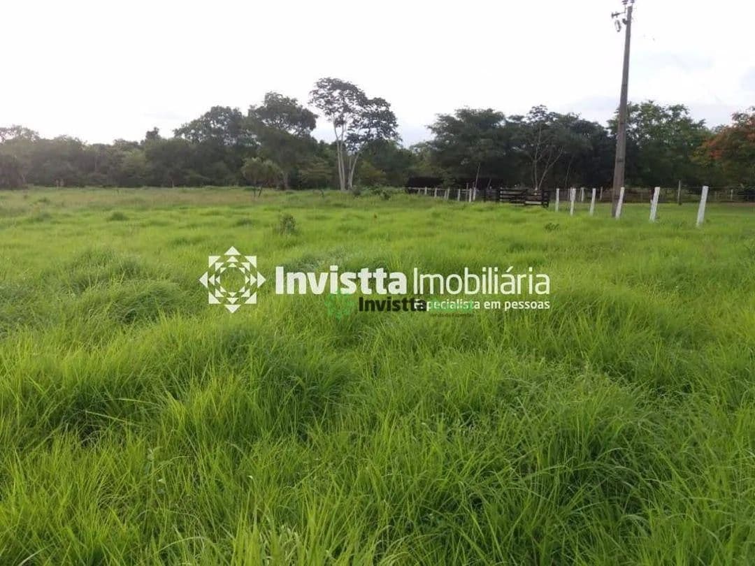 Imagem 3