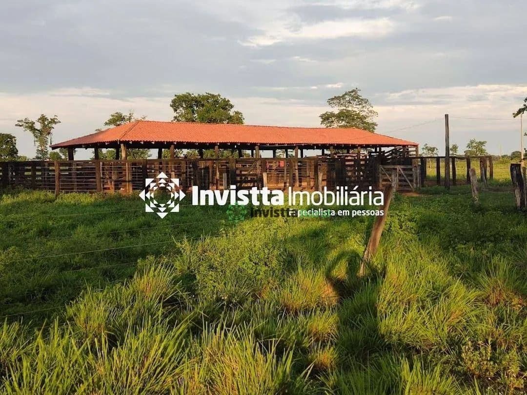 Imagem 6