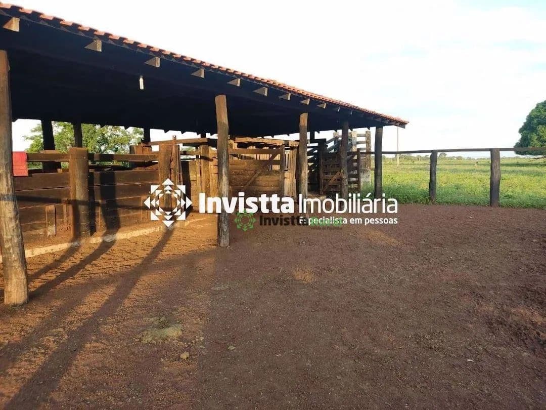 Fazenda de 300 alqueires com solo de alta qualidade e estrutura completa no Tocantins