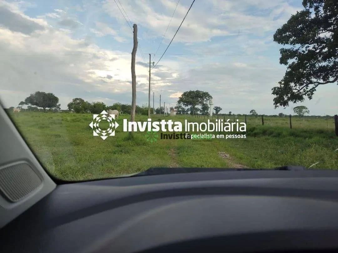 Imagem 5