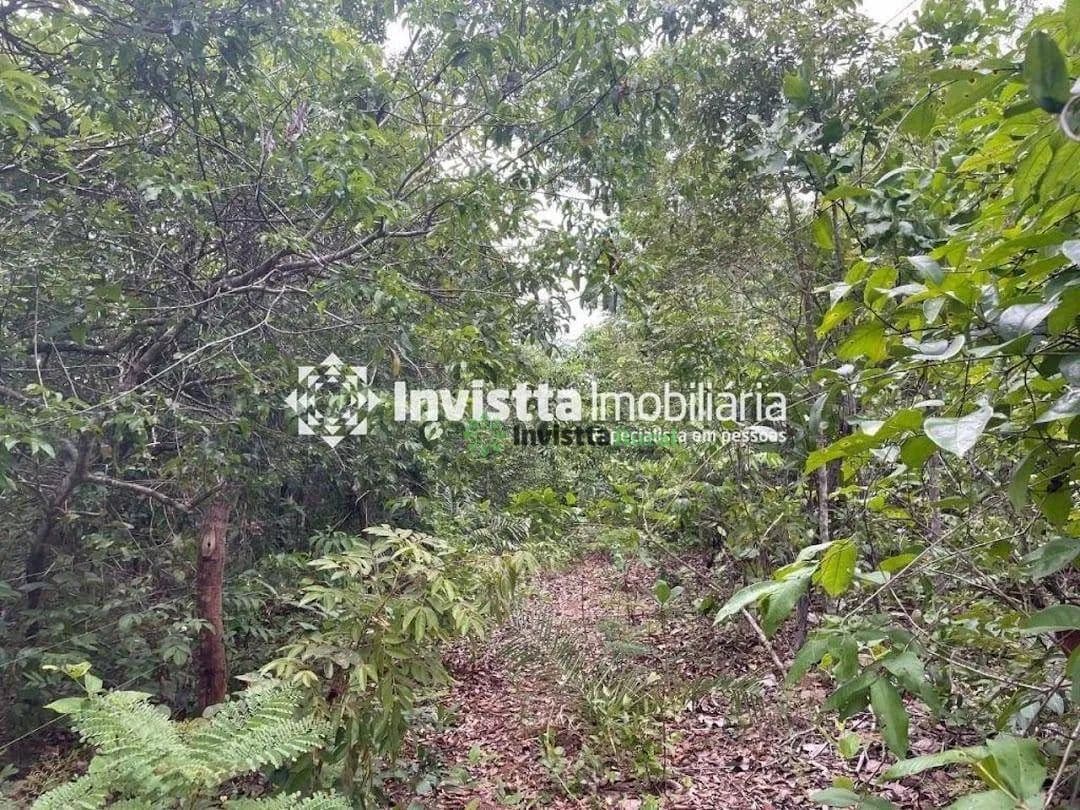 Fazenda de 58 alqueires em estágio de abertura no Tocantins