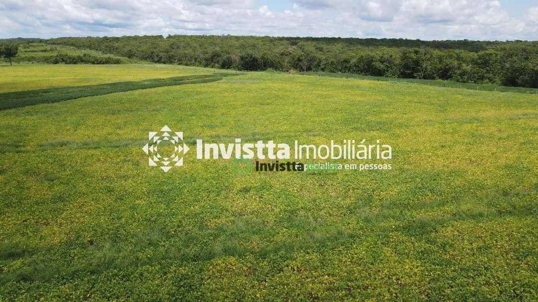 Fazenda de 445 alqueires com lavoura consolidada e alto potencial de expansão em Pedro Afonso/TO