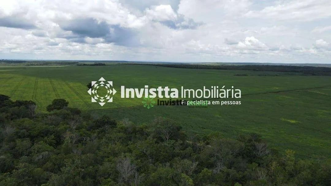 Imagem 4
