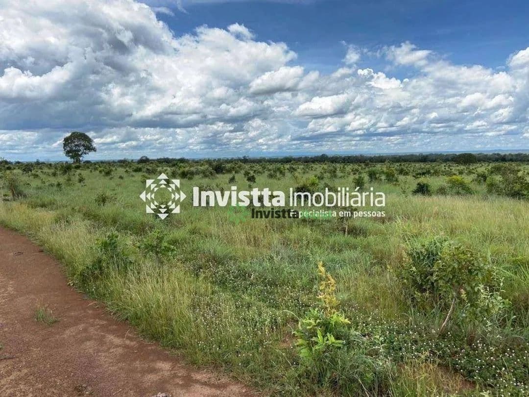 Fazenda de 412 alqueires às margens do Rio Tocantins em Brejinho de Nazaré/TO