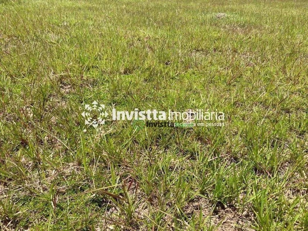 Imagem 6