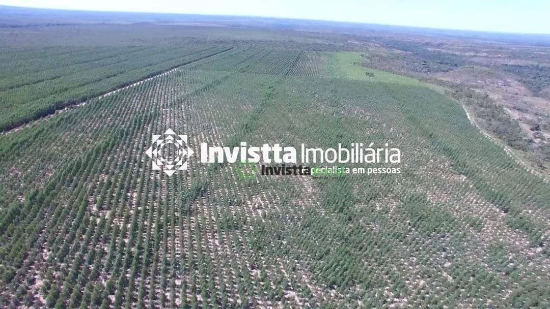 Fazenda de 215 alqueires com potencial de expansão em Rio Sono/TO