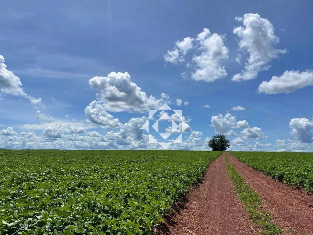 Fazenda de 890 hectares com 400 hectares em lavoura em Cristalândia/TO