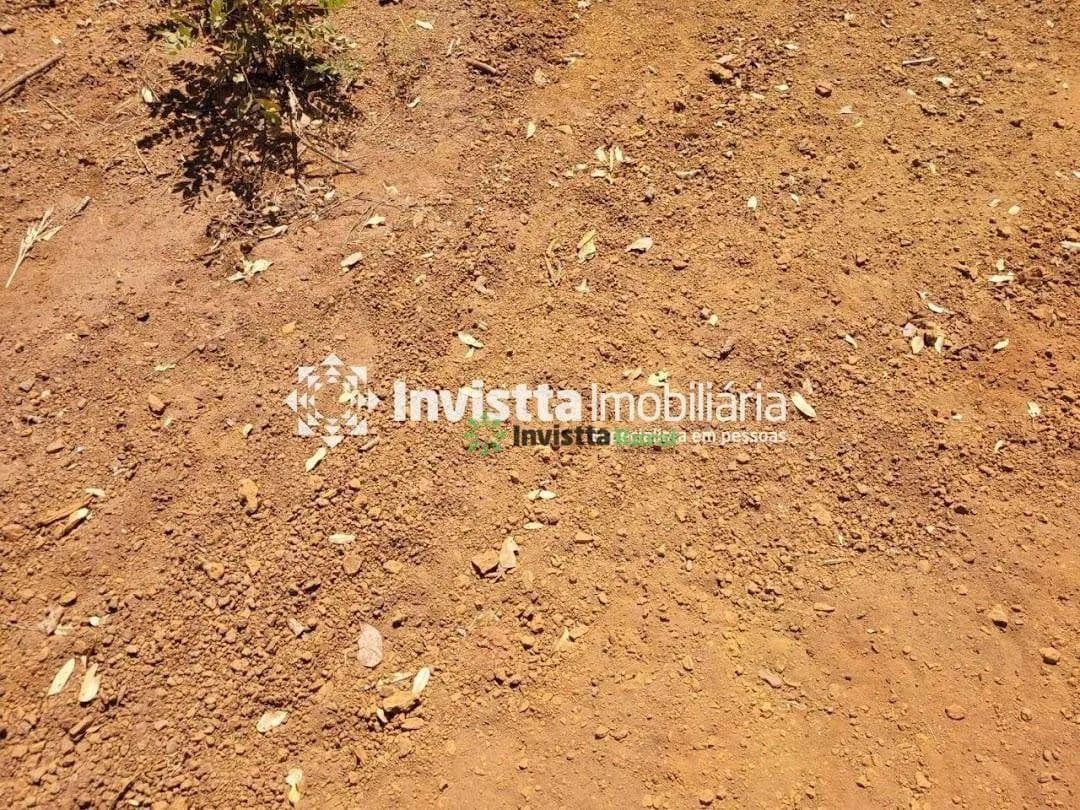 Fazenda de 40 alqueires com solo de alta argila em Luzimangues - Porto Nacional/TO