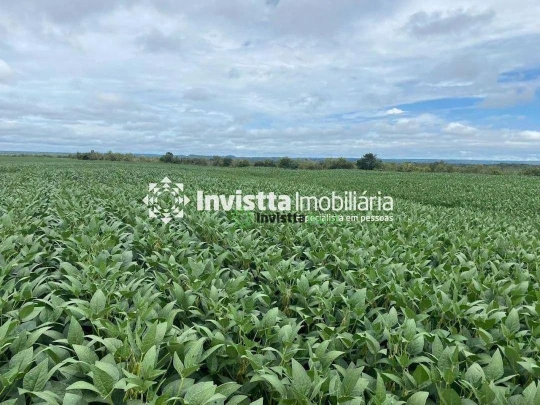 Fazenda de 234 alqueires com lavoura consolidada em Dois Irmãos/TO