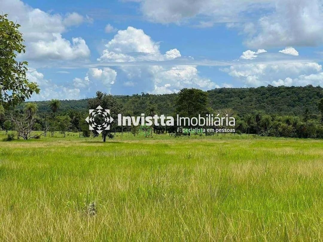 Fazenda de 52 alqueires com dupla aptidão e infraestrutura completa em Porto Nacional
