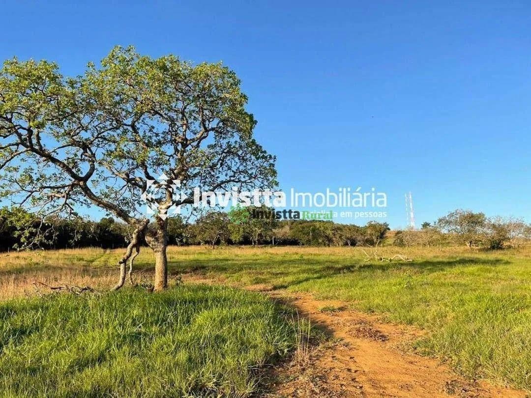 Fazenda de 68 alqueires à beira do asfalto em Miranorte/TO