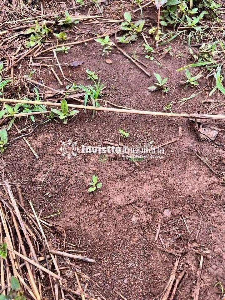 Fazenda de 269 alqueires com solo argiloso e logística estratégica em Porto Nacional