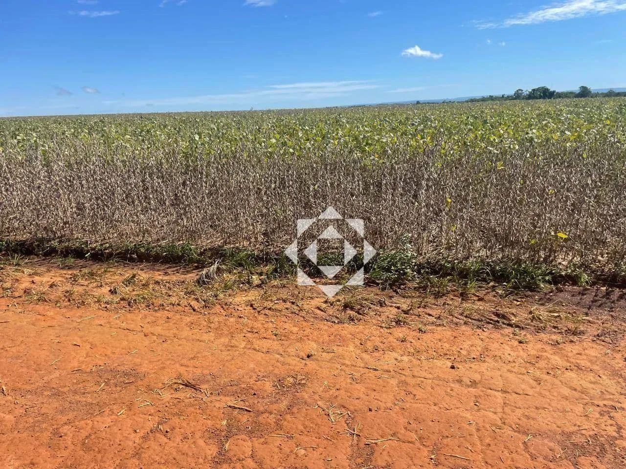 Fazenda de 1.400 hectares com 1.000 hectares de lavoura em Luzimangues