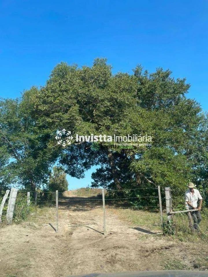Fazenda à venda em Peixe TO com 1.040 alqueires, 2.900 hectares abertos e solo latossolo vermelho