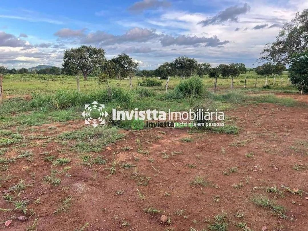 Fazenda à venda em Miranorte TO com 170 alqueires, área para lavoura e excelente logística com asfalto