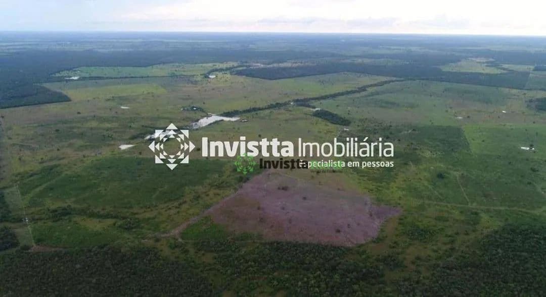 Imagem 4