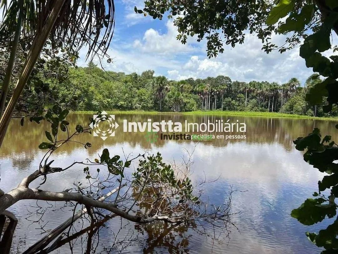 Fazenda à venda em Pugmil/TO com 45 alqueires, ideal para agricultura ou pecuária