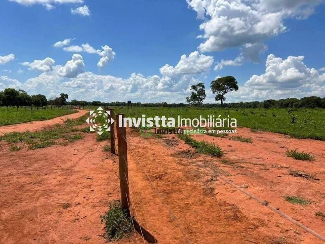 Imagem 6
