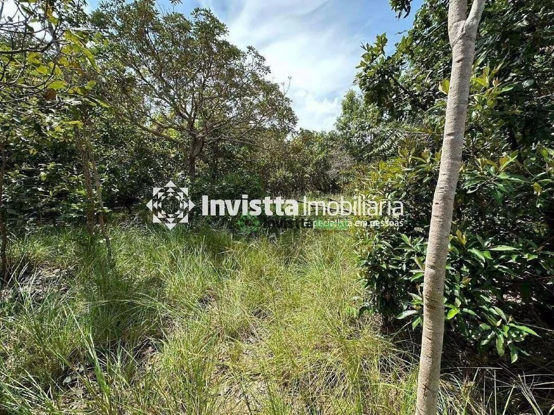 Terreno à Venda em Frente ao Condomínio Caribe em Palmas – TO