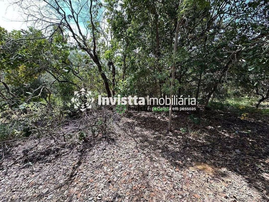 Imagem 4