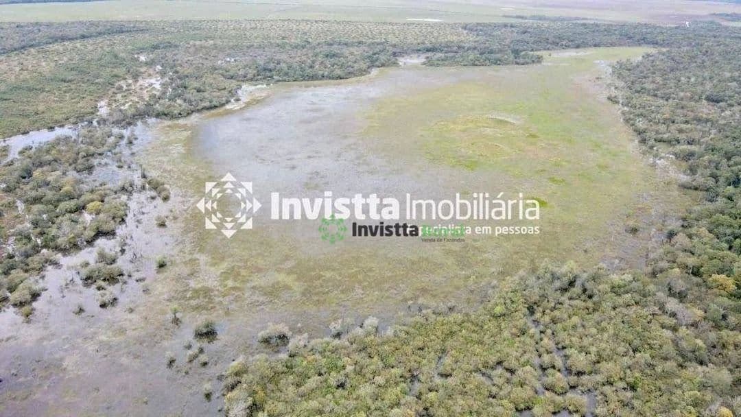 Imagem 4
