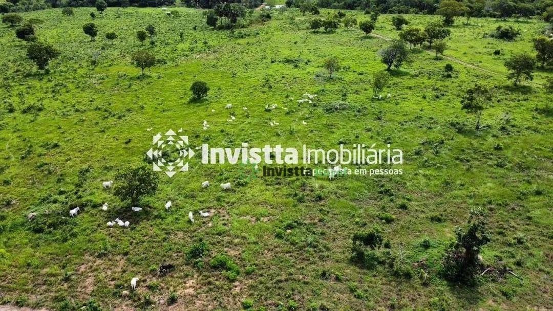 Fazenda à venda em Carolina/MA com 809 hectares, 167 alqueires e excelente estrutura para pecuária