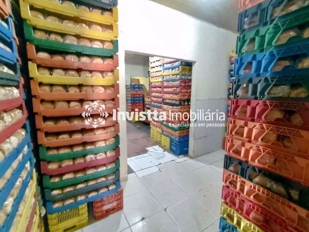 Imagem 3