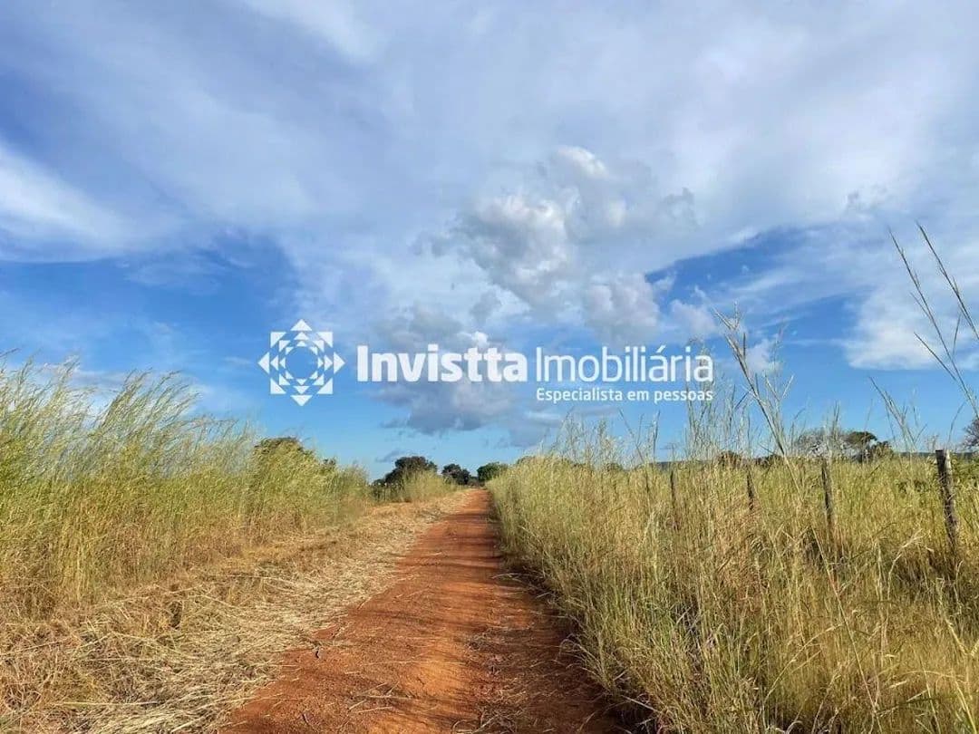 Imagem 6