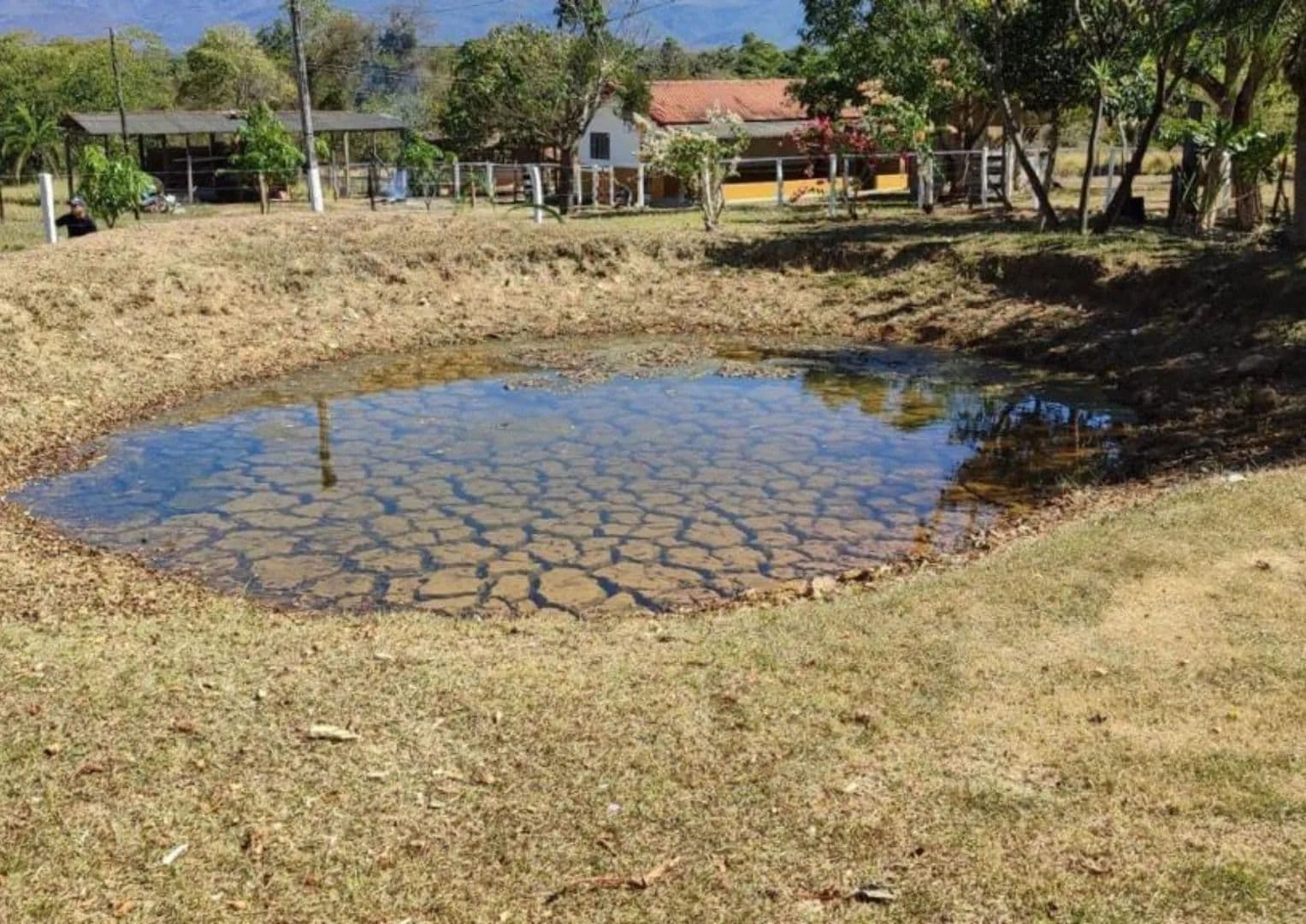 Fazenda com Dupla Aptidão à Venda em Formosa – GO | Vale do Paranã