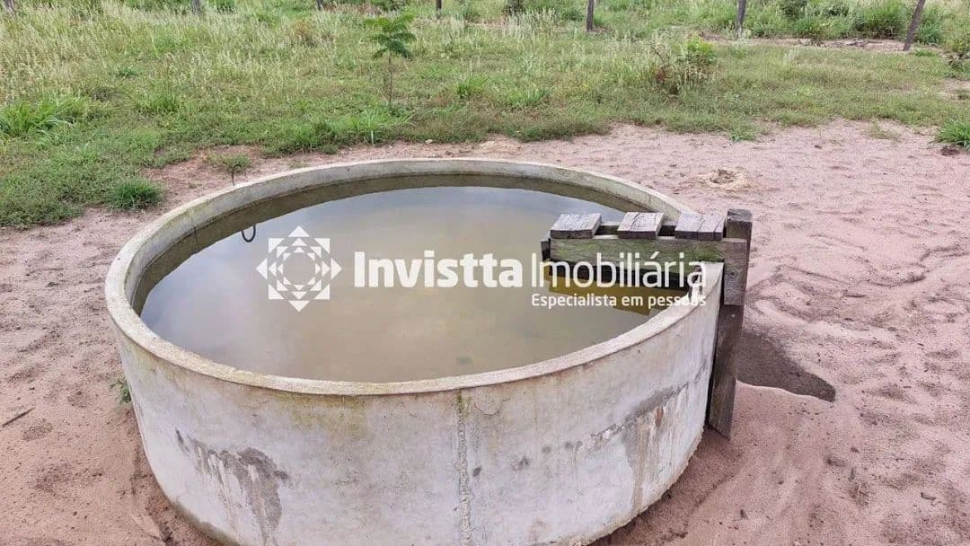 Imagem 5