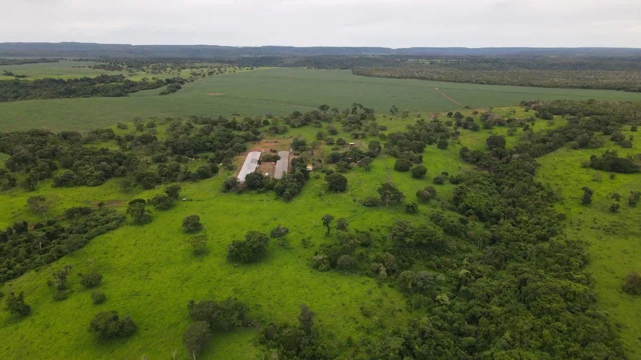 Fazenda à venda em Paraíso do Tocantins com 25 alqueires, dupla aptidão e estrutura completa para produção