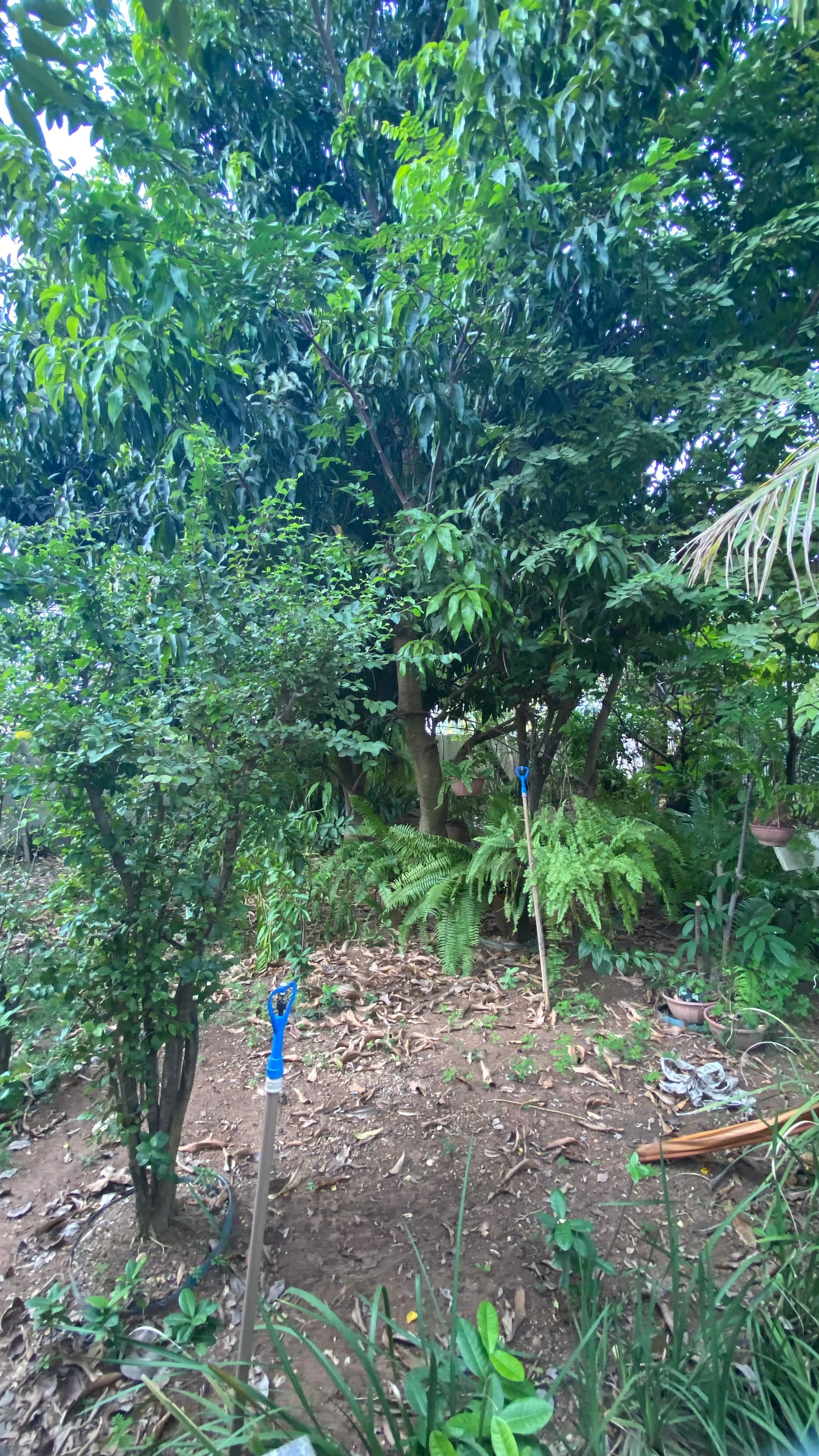 Lote de 550 m² de frente para a praia no Condomínio Mirante do Lago