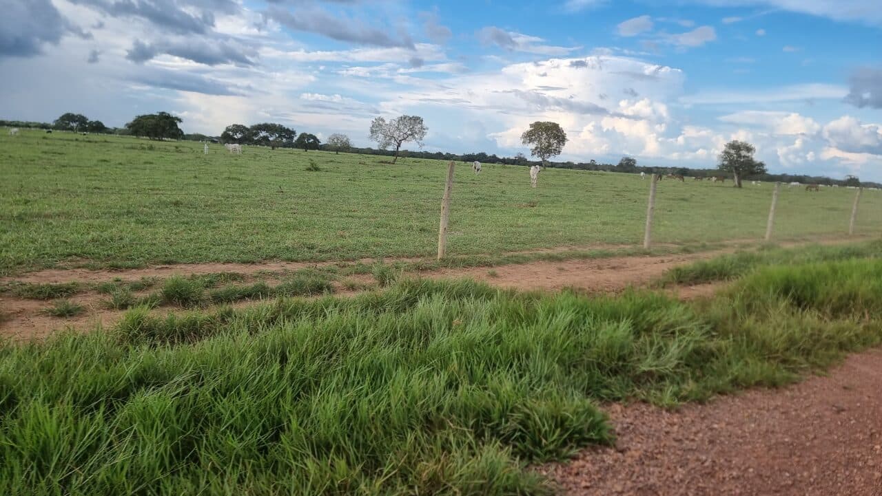 Fazenda com Aptidão para Agricultura e Pecuária à Venda em Paraíso no Vale do Araguaia – TO