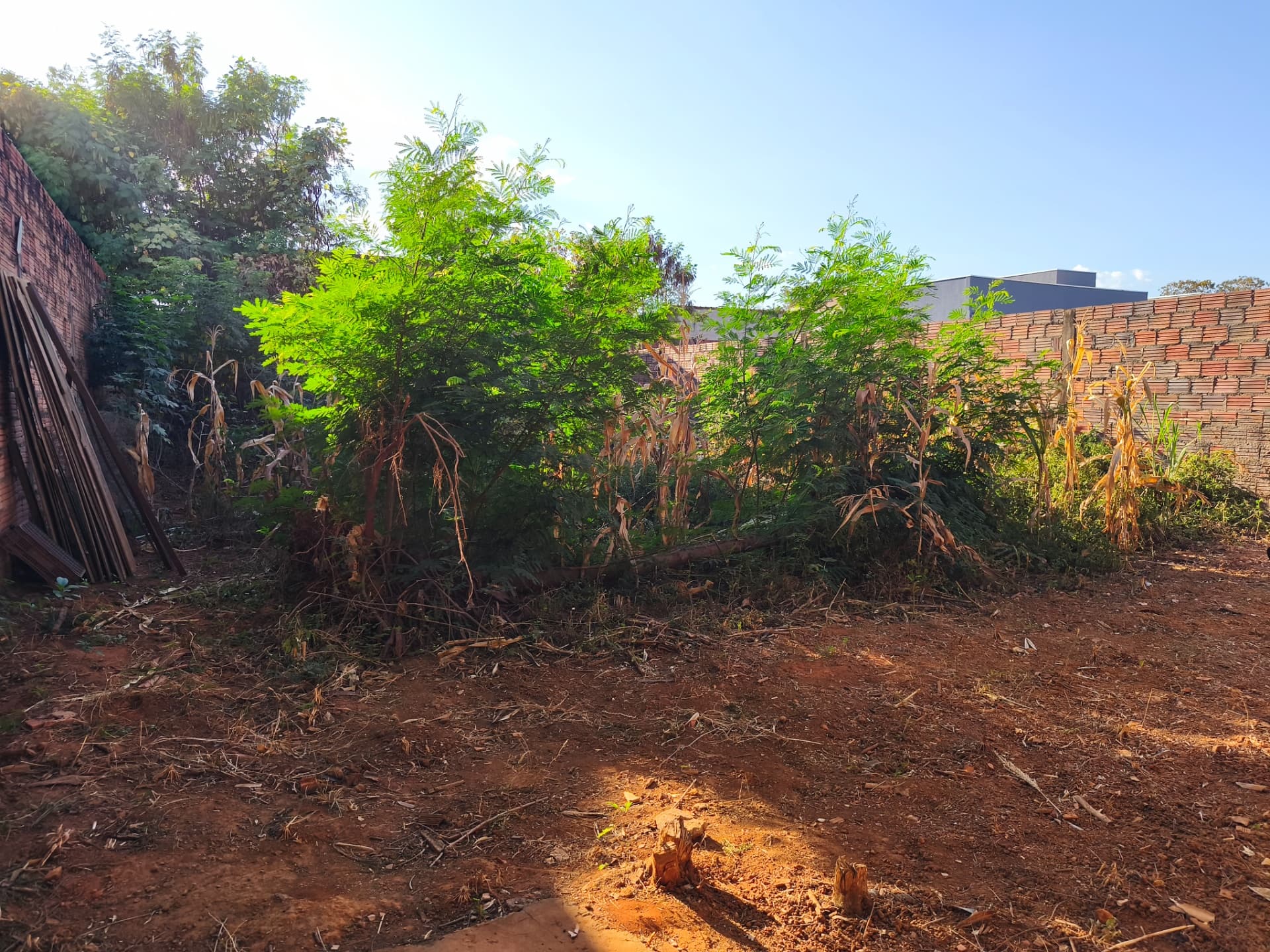 Lote à Venda no Setor Lago Norte em Palmas – TO
