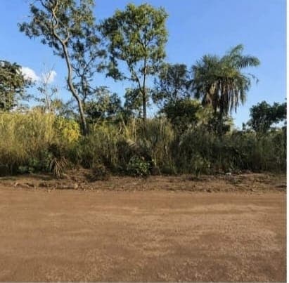 Lote à Venda às Margens da TO-010 – Palmas/TO