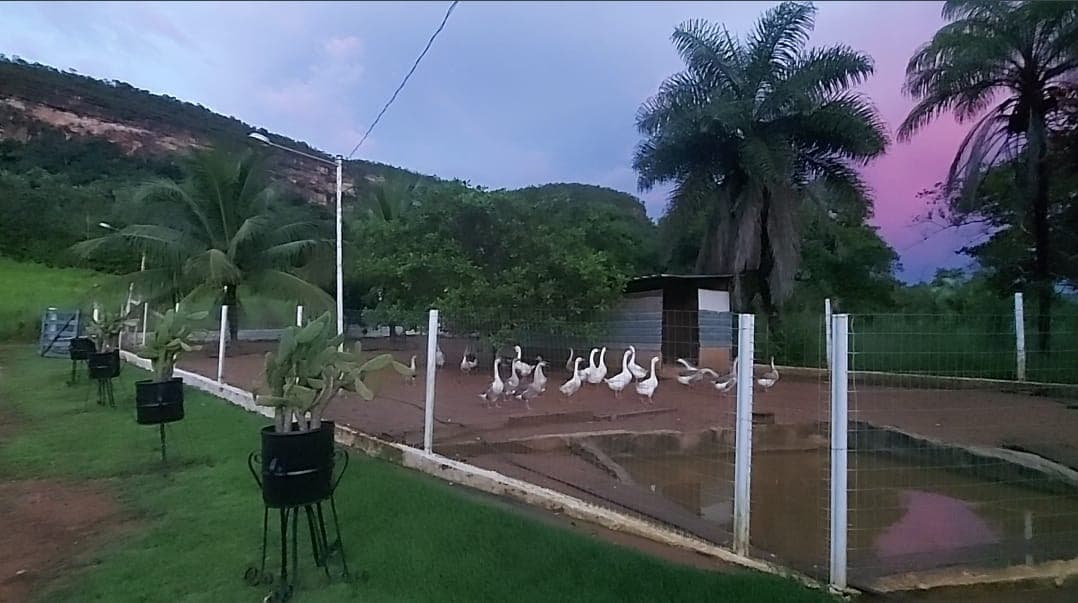 Chácara com 1,8 alqueires e divisa com o Rio Lajeado à venda – Palmas/TO