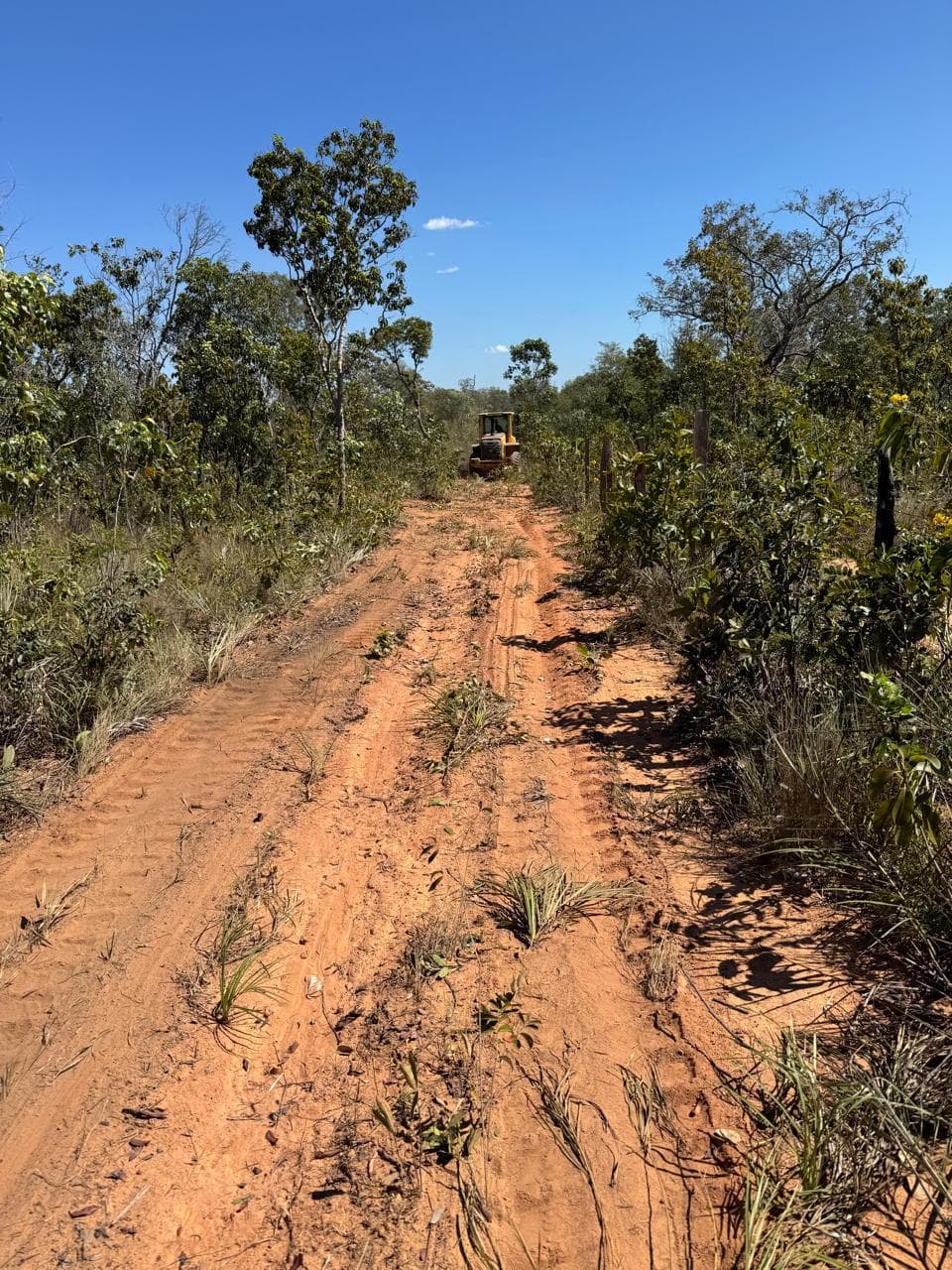 Fazenda com Potencial para Agricultura à Venda em Ponte Alta – TO | 2.420 Hectares