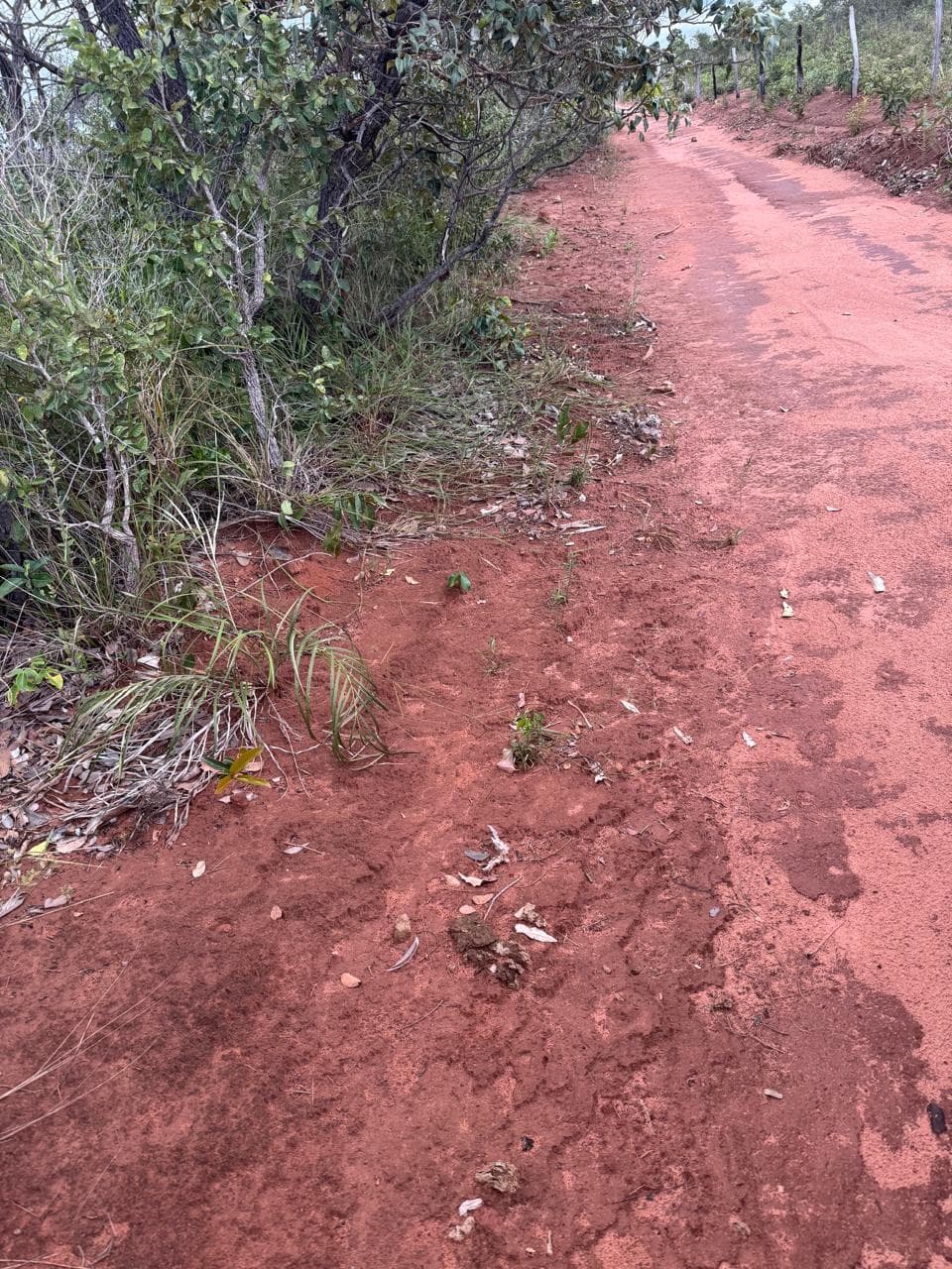 Fazenda com Potencial para Agricultura à Venda em Ponte Alta – TO | 2.420 Hectares